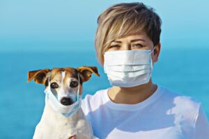 animali e coronavirus