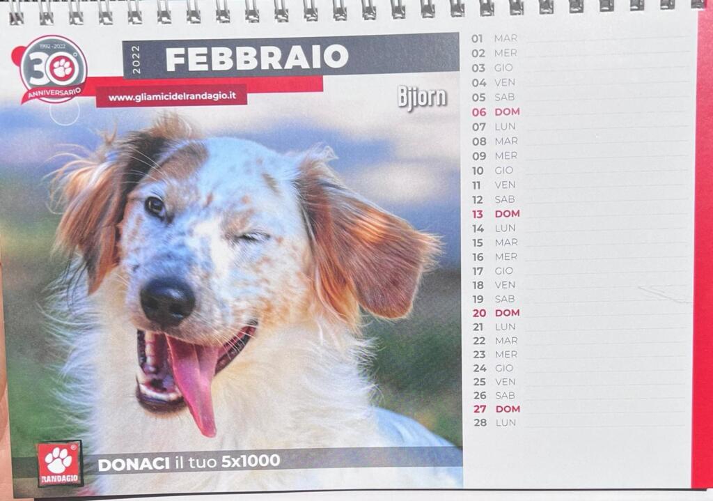 calendario1