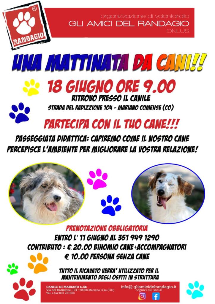 mattinata