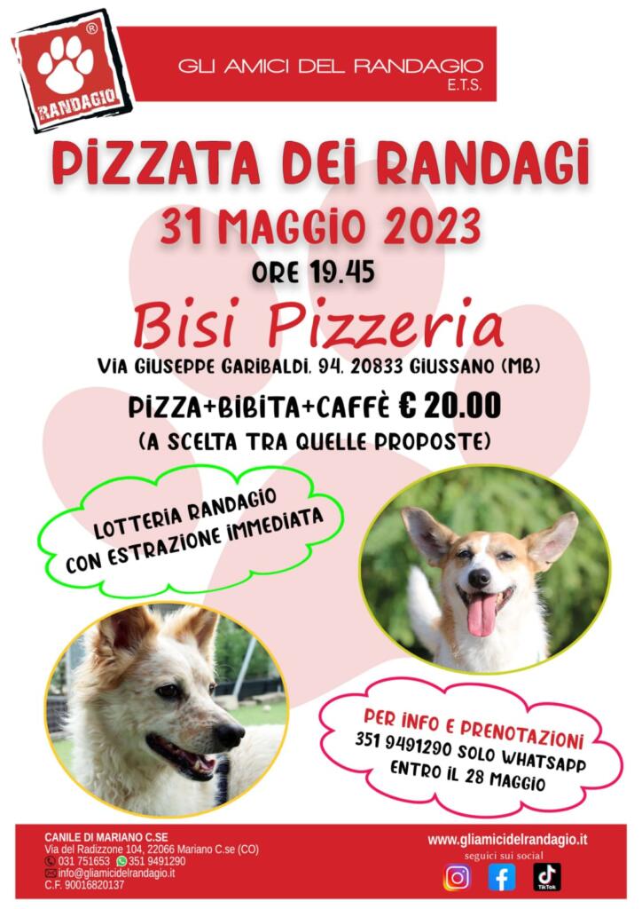 bisi pizza