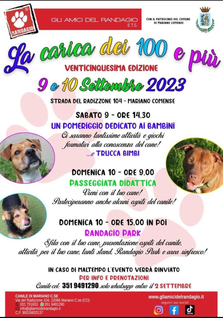 festa sab e dom
