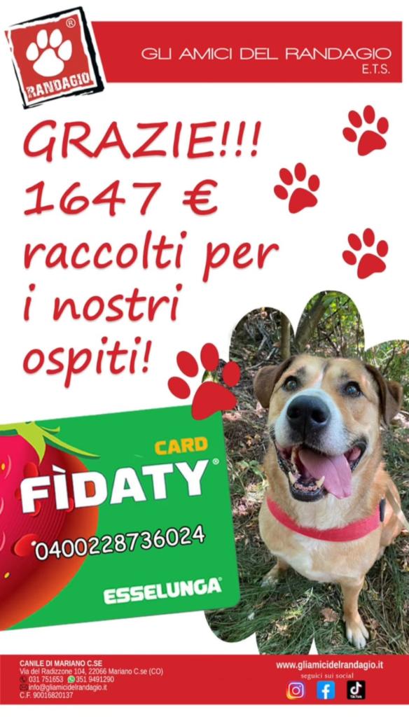 Oplus 16777216