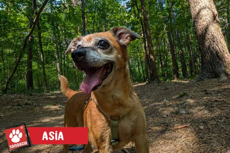 Asia