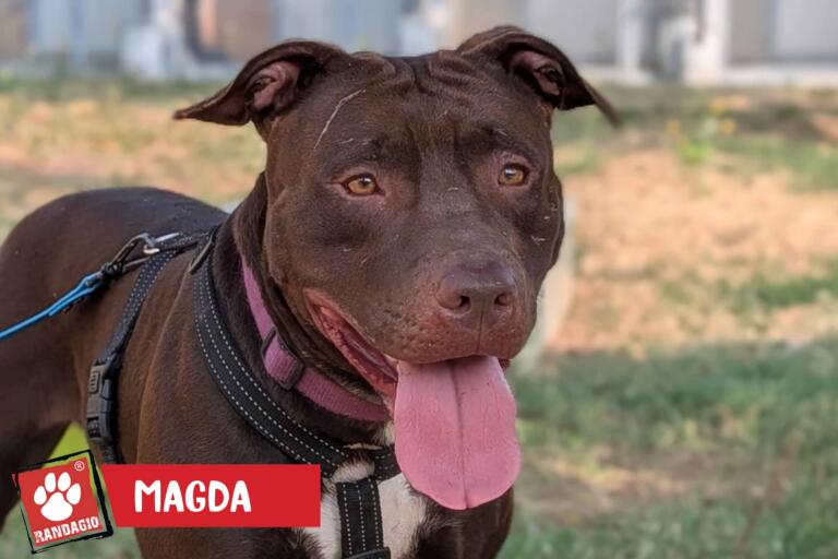 Magda