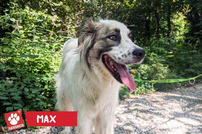 Max